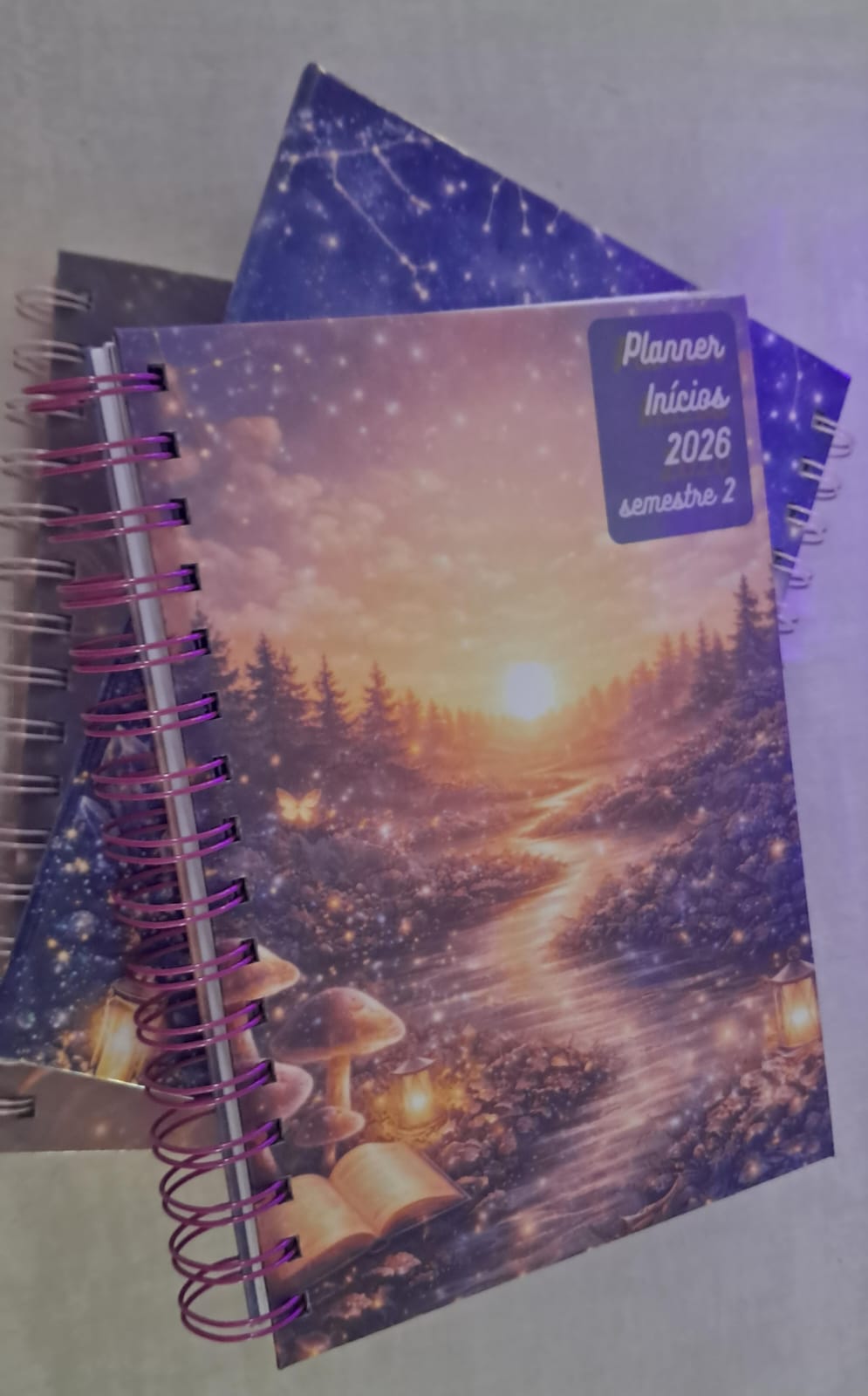 Planner Físico
